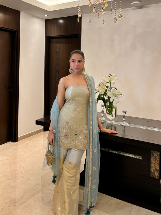 AAROHI SHARARA